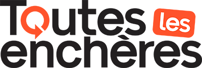 Toutes les enchères logo